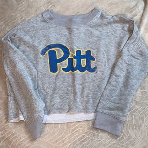 pitt sweatshirt crop